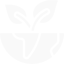Missão